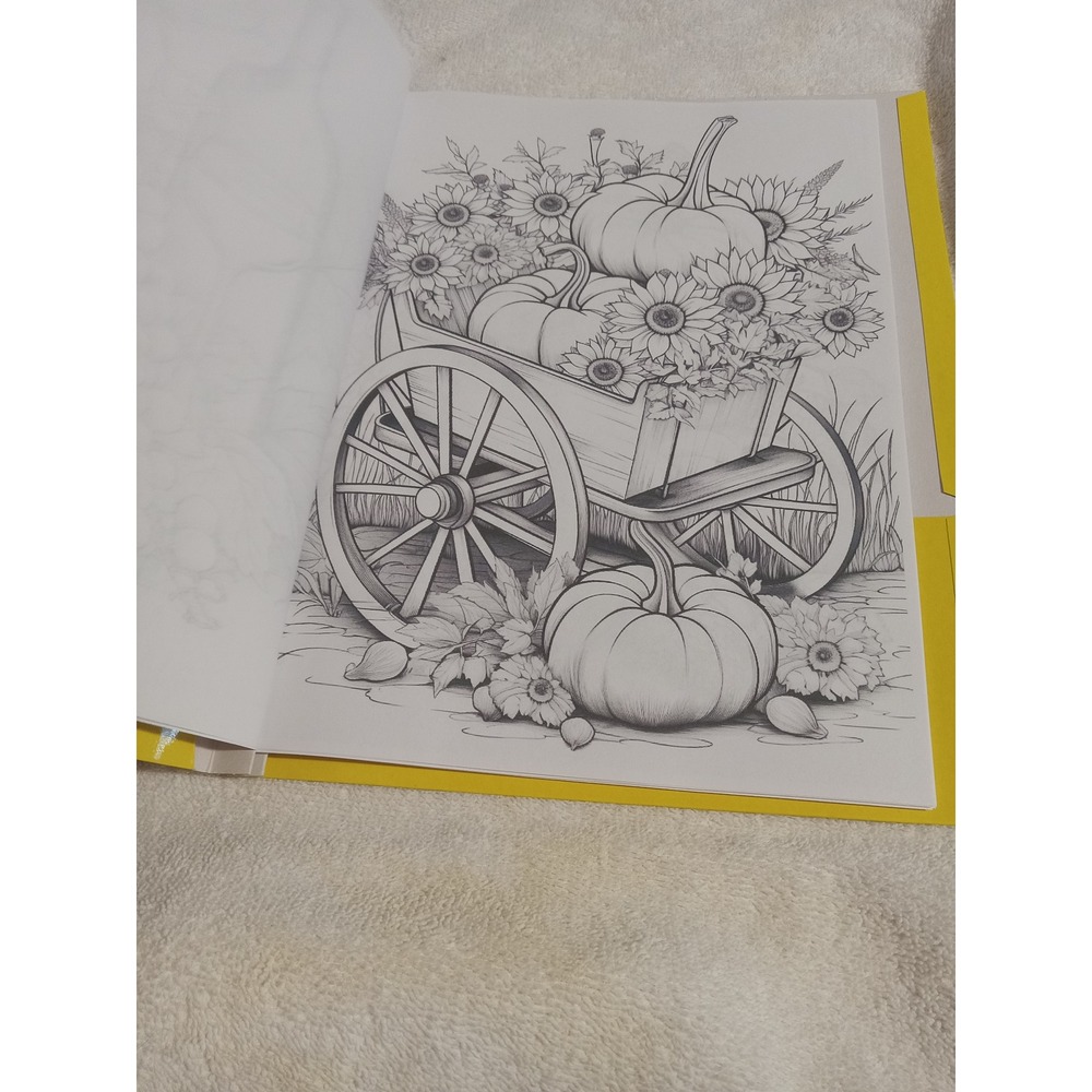 Fall/Thanksgiving Coloring Books - Picture 4 of 14